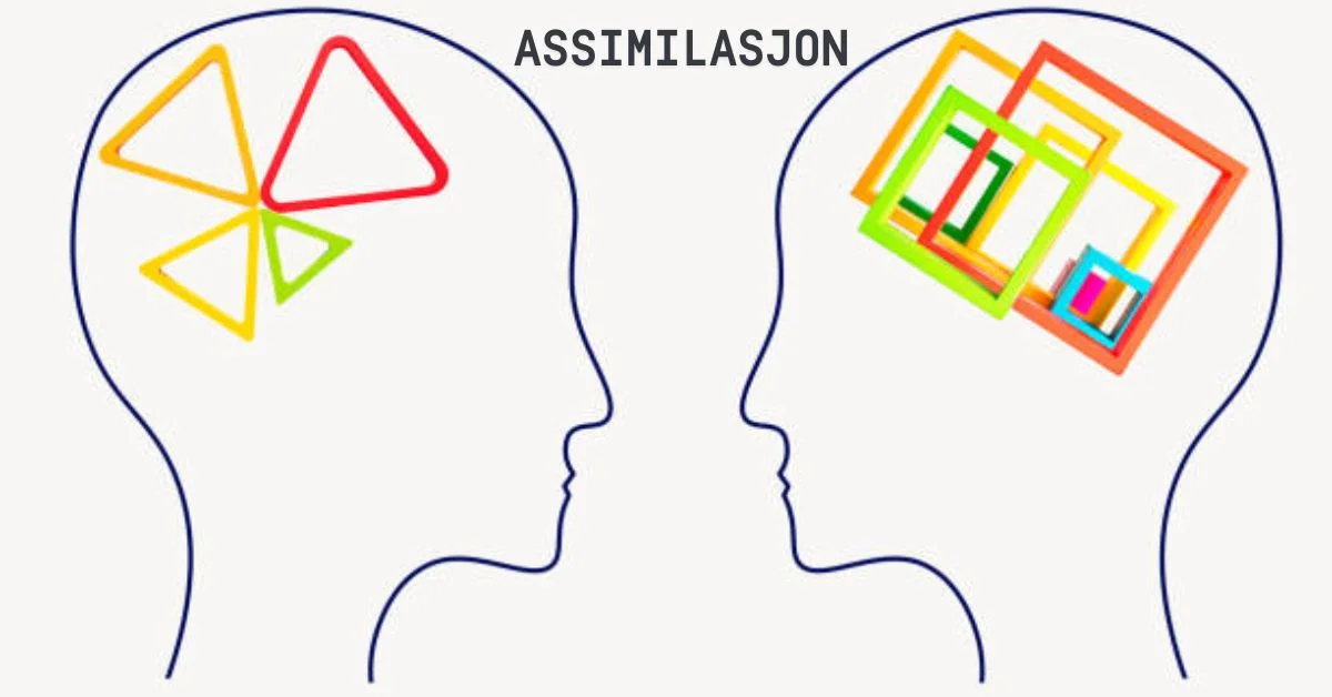 The Dual Faces of Assimilasjon Benefits and Challenges Explored